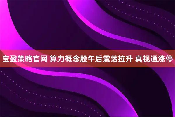 宝盈策略官网 算力概念股午后震荡拉升 真视通涨停