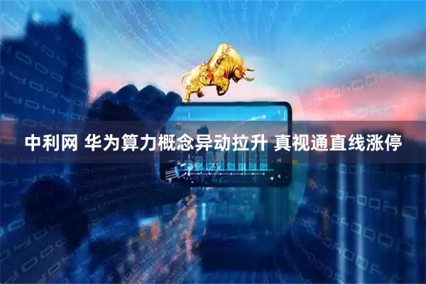 中利网 华为算力概念异动拉升 真视通直线涨停