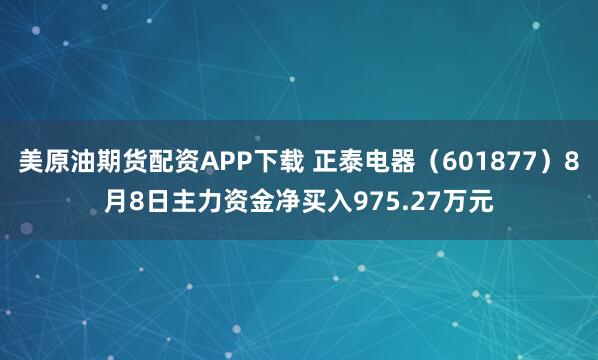 美原油期货配资APP下载 正泰电器（601877）8月8日主力资金净买入975.27万元