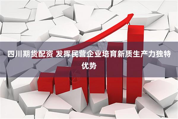 四川期货配资 发挥民营企业培育新质生产力独特优势