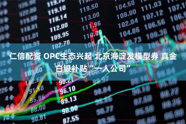 仁信配资 OPC生态兴起 北京海淀发模型券 真金白银补贴“一人公司”